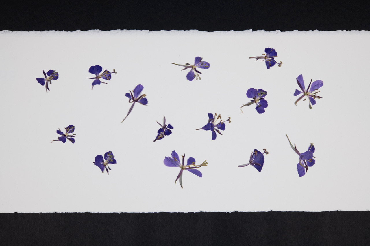 Banquet-benefice-fleur