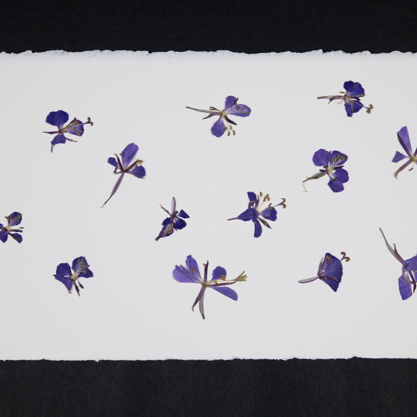 Banquet-benefice-fleur