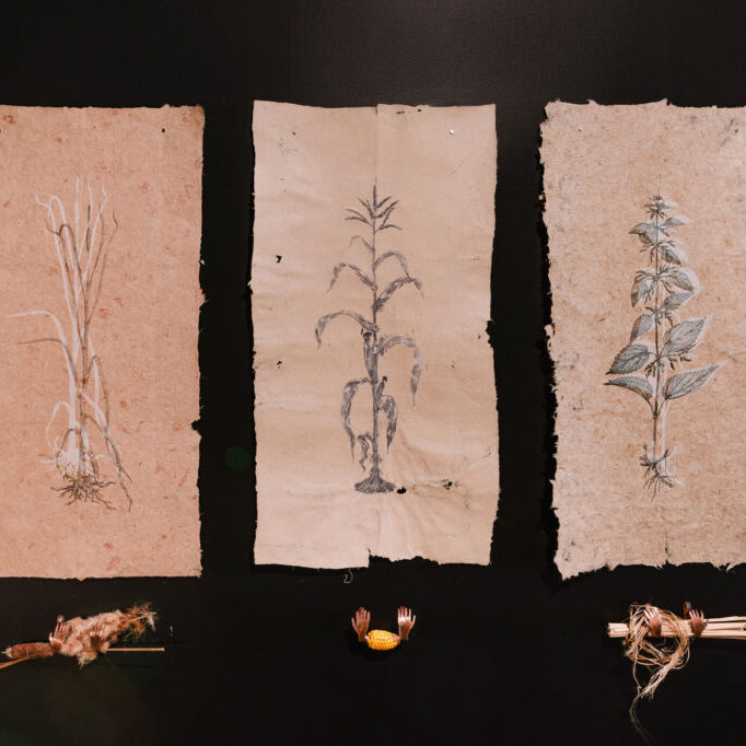 Oeuvre-de-Faustine-Foreman-Singular-credit-Jean-Michel-Naud-93236