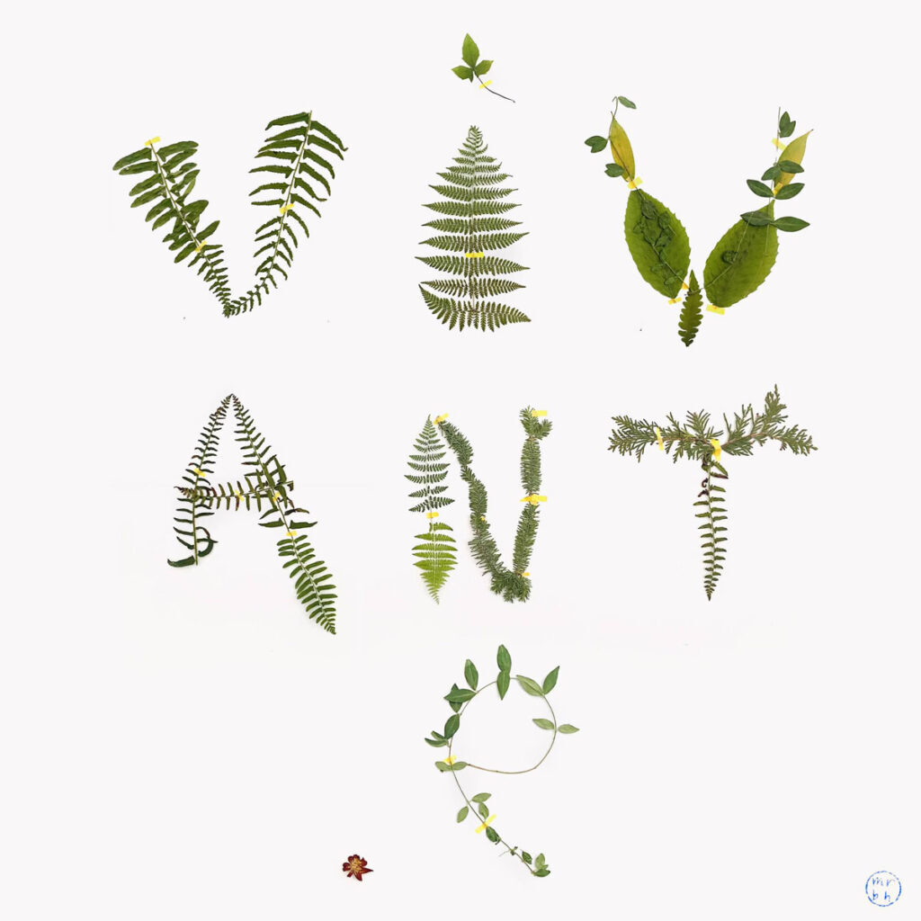 marie-renee_bourget_harvey_photo-projet