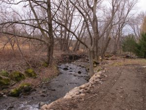 Vue du ruisseau